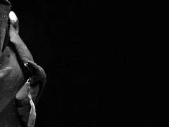 …그 무엇보다 독한 독이 되어볼게요.