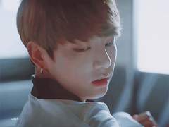 [나 전정국 모르는데 IF외전] 폭스x버니 11