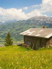 사랑의 구원범위