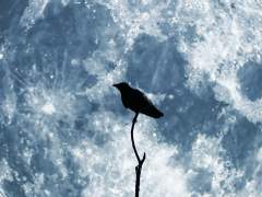 친절을 꾸며내시는 게 이로웠을 걸요.