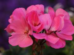 경의른 리퀘모음