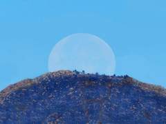 2019년의 중얼거림