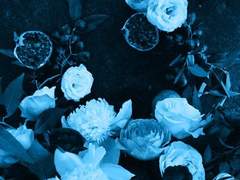 [옷토게] 이울다 5