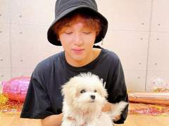 호구 시리즈 다 모였다!