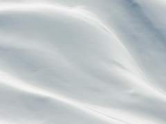 [TH] The reason why,