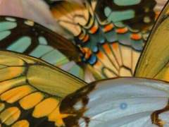 하늘은 정녕 저를 버리셨습니까?