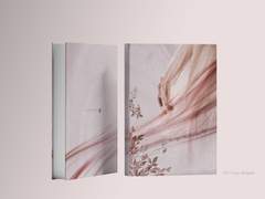 The things that pass by