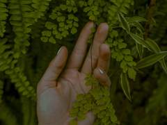 [홉뷔] 겨울 가면 봄이 온다