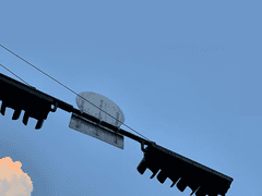 로이나 체이스 | 25세 | XY