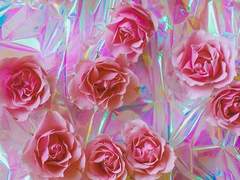 러시안 룰렛 14화