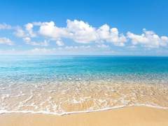 토끼같은 패럿 걔