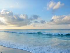 [고래별/해수수아] 시선 (10) (完)