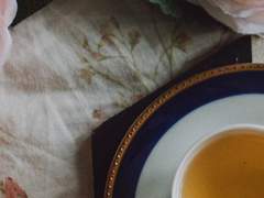 라플레어 :: 아드리안 C. 아담