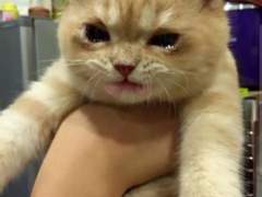 127막내 김여주 모먼트 EP.8