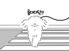 45. 장필승과 횡단보도!