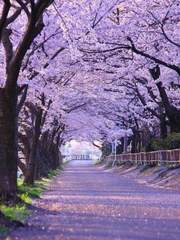 푸른 날개를 다시 한 번 펼칠 때