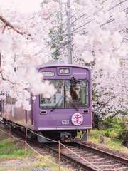 노을 빛 오렌지로 물든 꿈을 그려 나가자