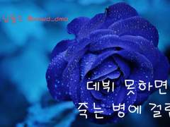 [큰세문대] Give Love