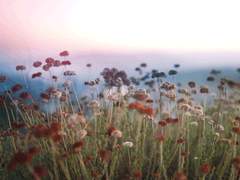 살아있는 그대에게.