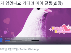 하토풀보이프렌드(210121)