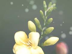 부끄러운 말이지만,