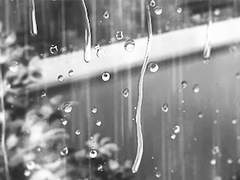 아침에서 아침까지