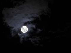 달과 별의 마지막 여행