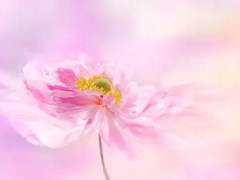 미쳐 보지 못한 마지막