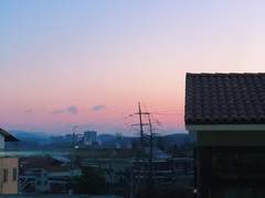 아침을 깨우는 것들.