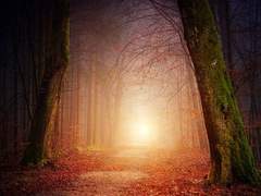 나는 왜 너라는 사람을 좋아하게 되어서.