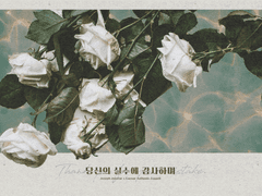 [죠세시] 당신의 실수에 감사하며 1