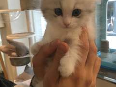 나에게로 온 꽃