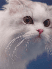 나에게로 와서 꽃이 되어준,