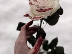 [쿠킹덤/마들에슾] I’m a hero