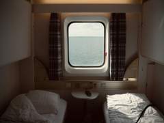 북극여우 관찰일기 13