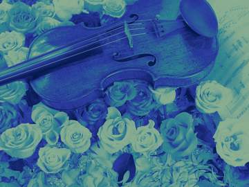 あたしの演奏が届く場所へ