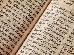 [이브 프로테 프로필]