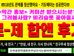 로제 합앤 후기