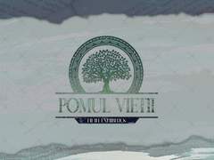 ❧ Pomul Vietii │ 공지사항