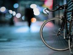 정해진 길을 따라 걷자. 그것이 안전할테니