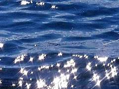 앨런 C. 알버트 22세 XY