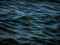 MIU404 : What if not (1)