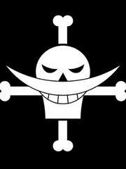 흰 수염 해적단 동료 드림