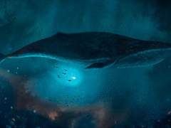 당신에게 쓰는 편지