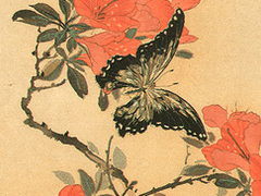 제야의 야오비쿠니