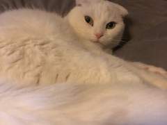 회사원 놀이록 01