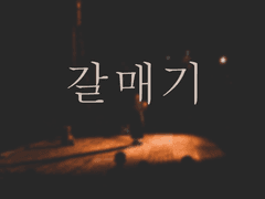 갈매기 -1