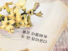 태원유진 - 봄은 이름에게 두 번 찾아온다