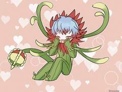 20210325 포큐젤라