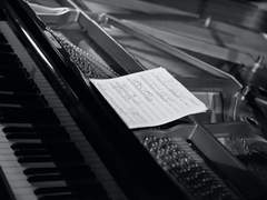 라스트 녹턴 14 (完)